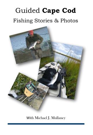 create digital magazine