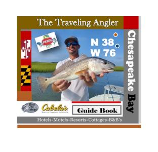 convert pdf to online magazine - Chesapeake Bay Traveling Angler 12-19
